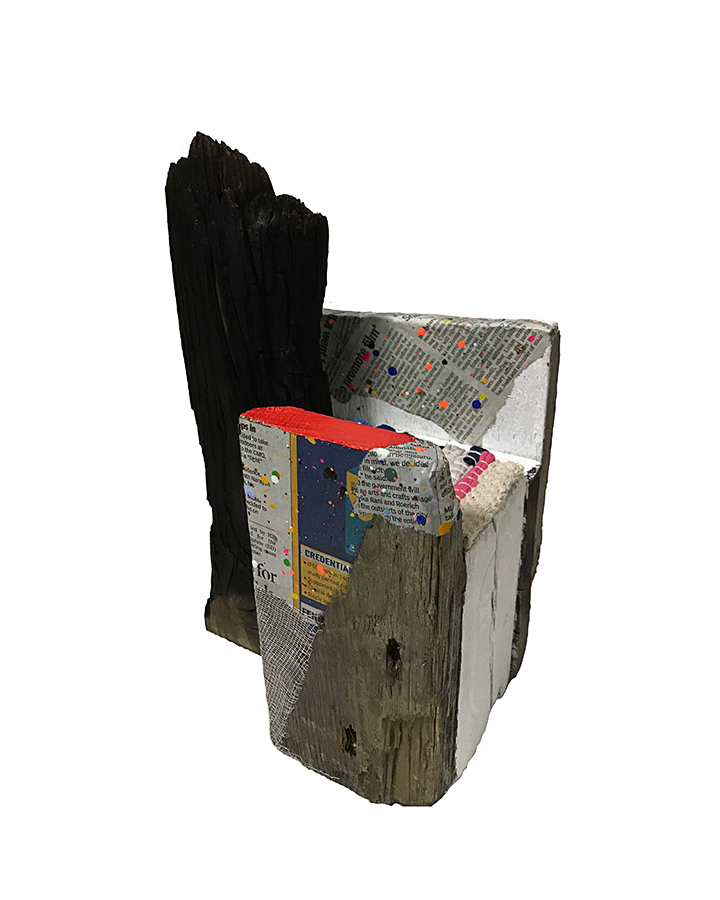 Additional image 15 of Ajitvar Kumar Douglas