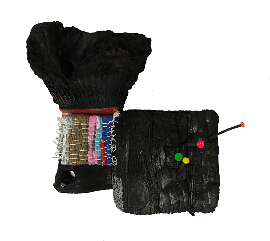 Additional image 20 of Ajitvar Kumar Douglas