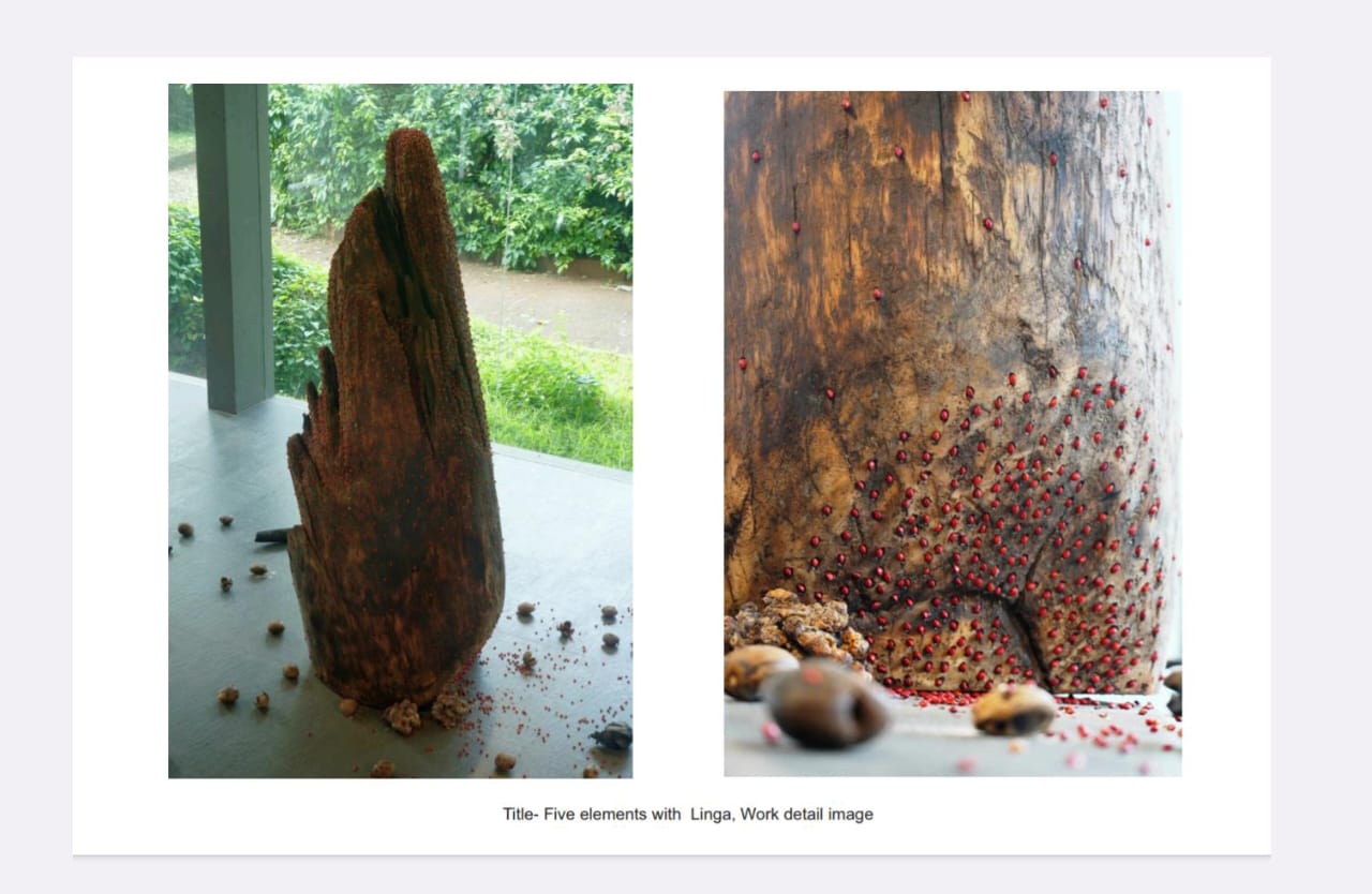 Additional image 7 of Pradeep M